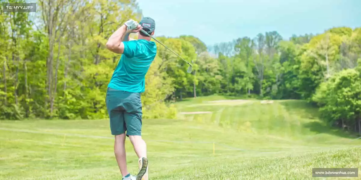 行业领先的理由